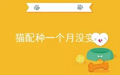 猫配种一个月没变化