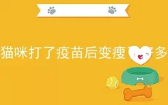 猫咪打了疫苗后变瘦了好多