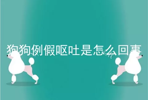 狗狗例假呕吐是怎么回事