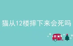 猫从12楼摔下来会死吗