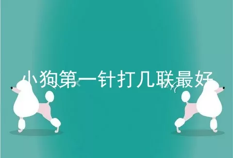 小狗第一针打几联最好