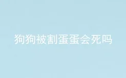 狗狗被割蛋蛋会死吗