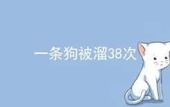 一条狗被溜38次