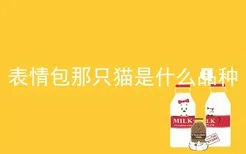 表情包那只猫是什么品种