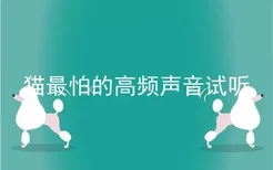 猫最怕的高频声音试听