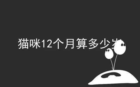 猫咪12个月算多少岁