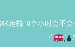 猫咪运输10个小时会不会死