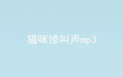 猫咪惨叫声mp3