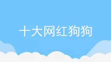 十大网红狗狗