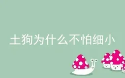 土狗为什么不怕细小