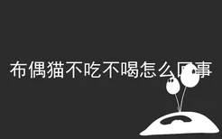 布偶猫不吃不喝怎么回事