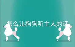 怎么让狗狗听主人的话