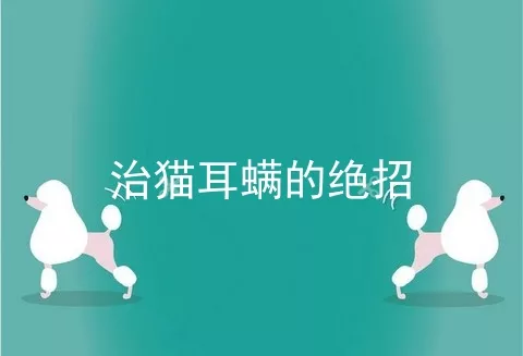 治猫耳螨的绝招