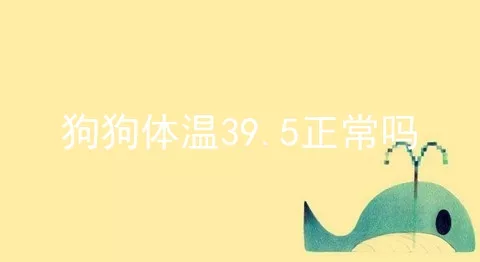 狗狗体温39.5正常吗