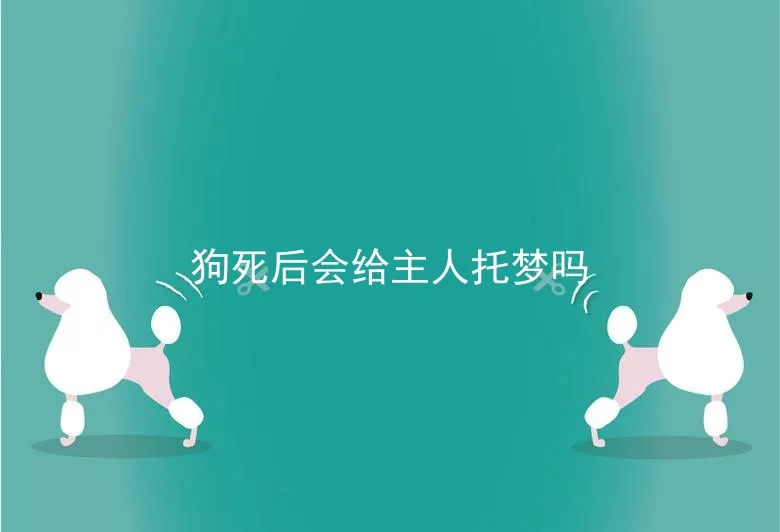 狗死后会给主人托梦吗