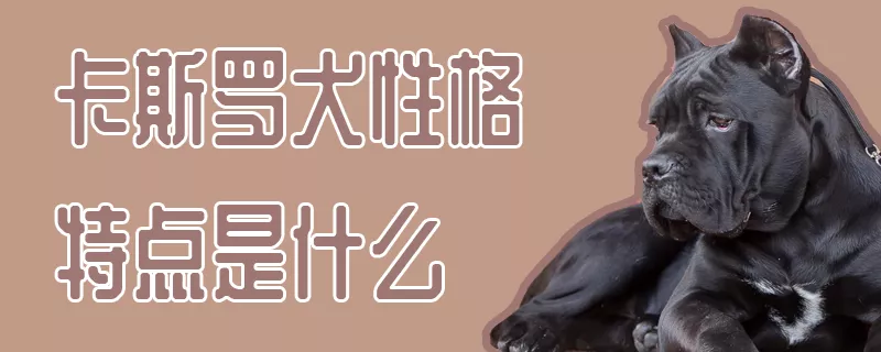 卡斯罗犬性格特点是什么