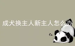 成犬换主人新主人怎么办