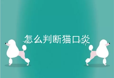 怎么判断猫口炎