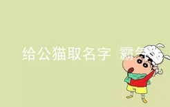 给公猫取名字 霸气