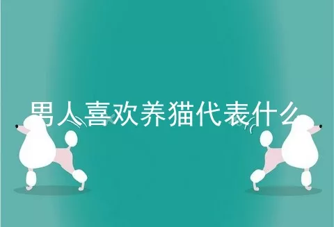 男人喜欢养猫代表什么