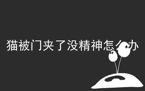 猫被门夹了没精神怎么办