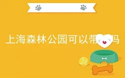 上海森林公园可以带狗吗
