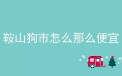 鞍山狗市怎么那么便宜