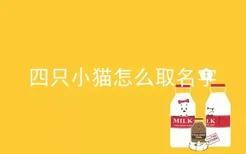 四只小猫怎么取名字