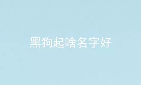 黑狗起啥名字好