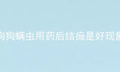 狗狗螨虫用药后结痂是好现象