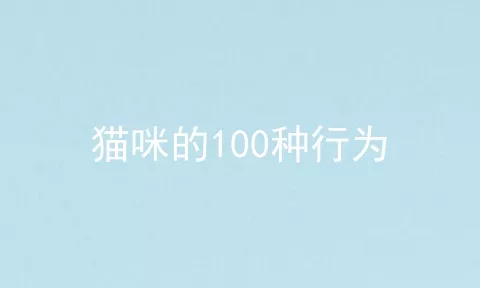 猫咪的100种行为