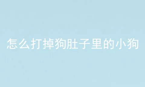 怎么打掉狗肚子里的小狗