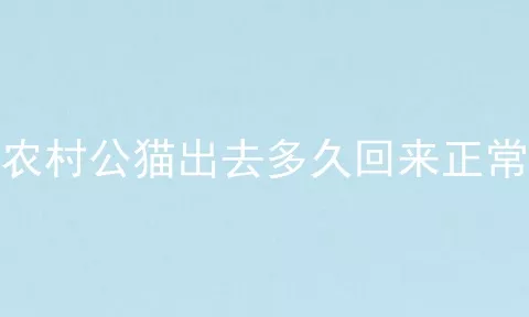 农村公猫出去多久回来正常