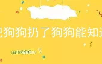 想把狗狗扔了狗狗能知道吗