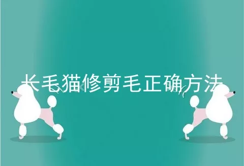 长毛猫修剪毛正确方法