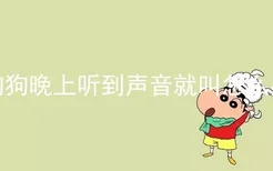 狗狗晚上听到声音就叫怎么办