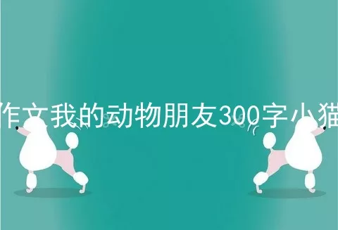 作文我的动物朋友300字小猫