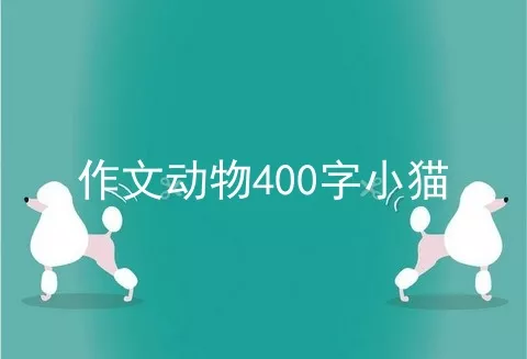 作文动物400字小猫