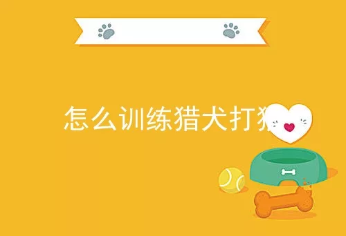 怎么训练猎犬打猎