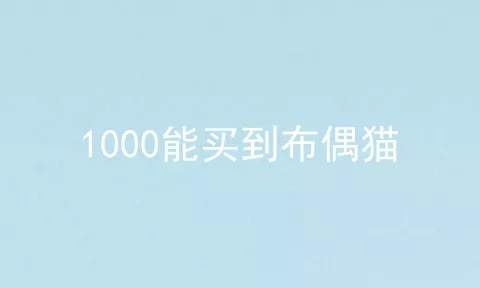 1000能买到布偶猫