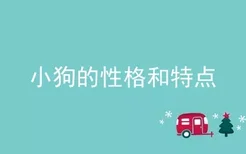 小狗的性格和特点