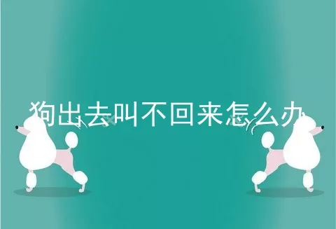 狗出去叫不回来怎么办