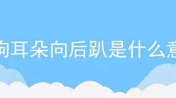 小狗耳朵向后趴是什么意思