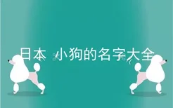 日本 小狗的名字大全