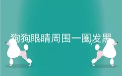 狗狗眼睛周围一圈发黑