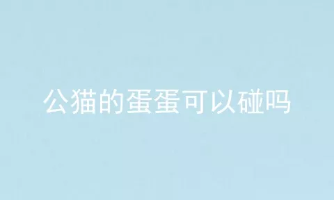 公猫的蛋蛋可以碰吗