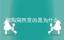 狗狗突然变凶是为什么