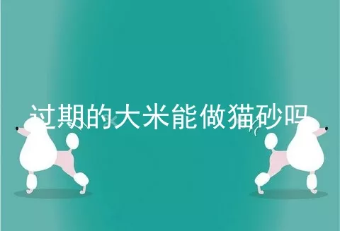 过期的大米能做猫砂吗