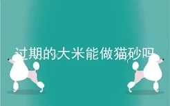 过期的大米能做猫砂吗