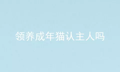 领养成年猫认主人吗